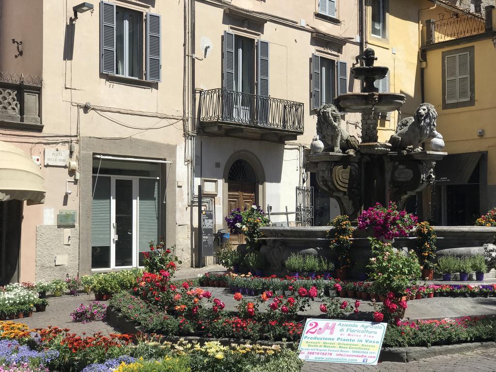 Le Erbe Guest House Витербо Екстериор снимка